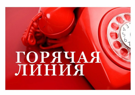 Горячая линия по вопросам питания обучающихся в ОО Горячая линия по вопросам питания обучающихся в ОО.